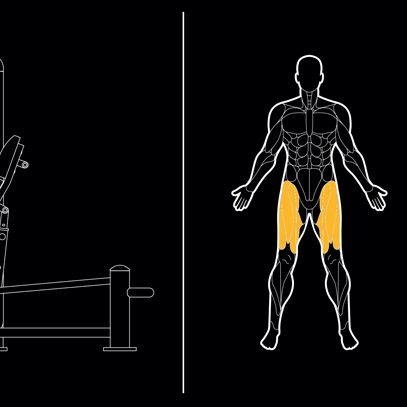 Leg press – MF-2113D